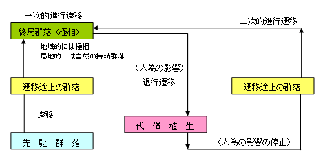 植生（群落）の動態