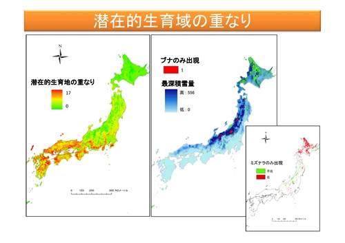 潜在的生育域の重なり